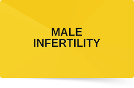 Male Infertility
