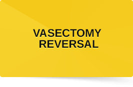 Vasectomy Reversal