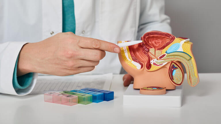 Consultation of a male urologist for a patient